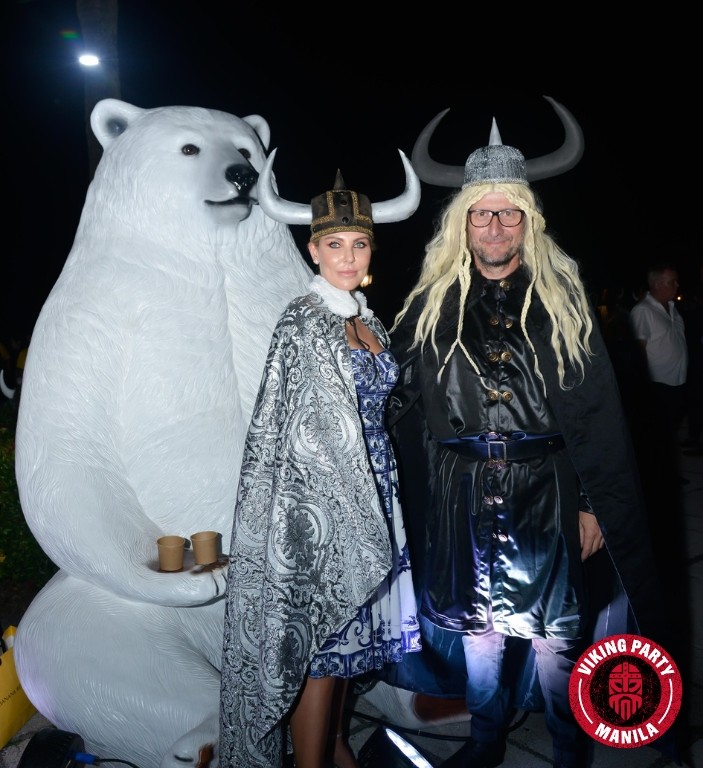 Viking Image 4