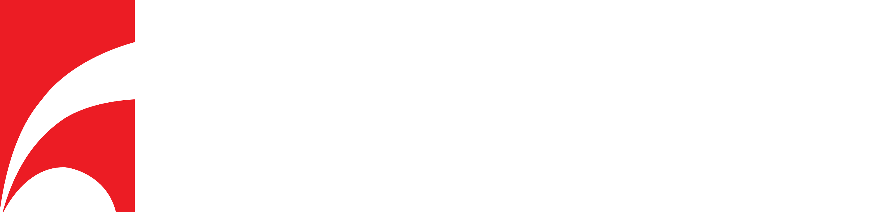 RSA Logo